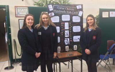 Success at West Cork Enterprise Competition Final
