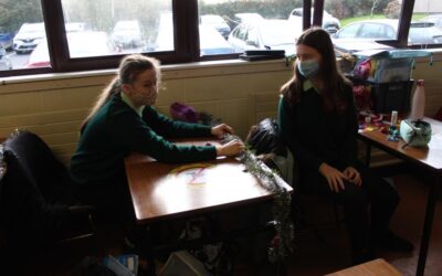 Meitheal Team Activity