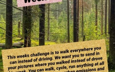 Carbon Concentrations Challenge