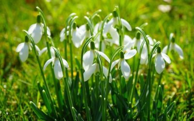 Message from Principal and Deputy Principal