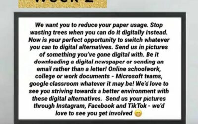 Carbon Concentrations Week 2 Challenge