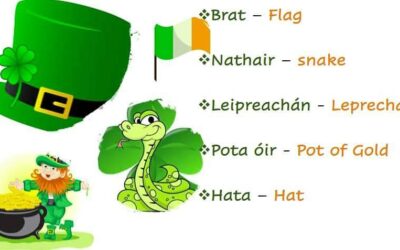 Lá Fhéile Pádraig sona daoibh go léir