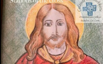 Beanneachtaí na casca