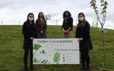 Carbon Concentrations through to the Eco Unesco final