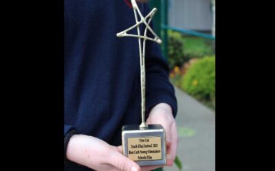 TY’s win BEST OVERALL FILM