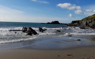 Orienteering at Long Strand