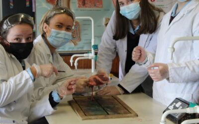 TY Biology Disection