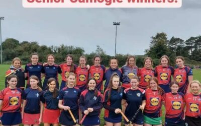 Senior Munster Camogie Championship