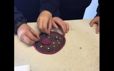 Active learning in Science class