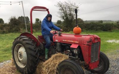 Killarney Pumpkin Farm