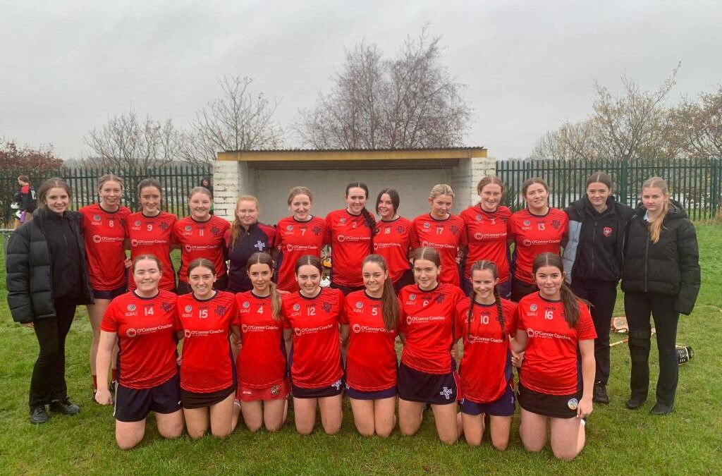 Senior Camogie County and Munster finals…