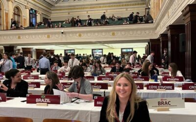 Model UN Cork