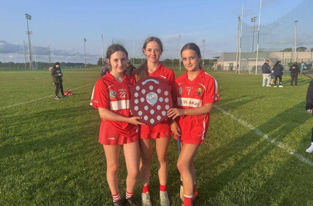Cork Stars