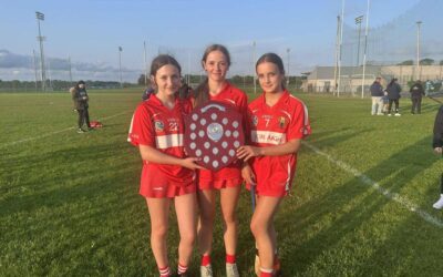 Cork Stars