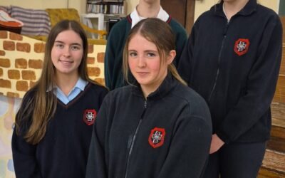 Pléaracha all Ireland