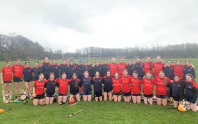 Camogie Cup Final