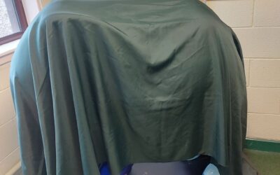 Elephant in the room