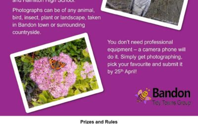 Y.B.T.T Photography Competition
