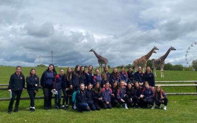 Third year ecology trip to Fota wildlife park