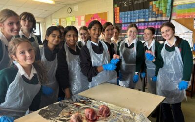 Getting to the heart of Science!
